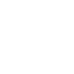 Black and white representation of an old computer terminal.